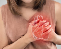 Menopause Transition and Cardiovascular Disease Risk
