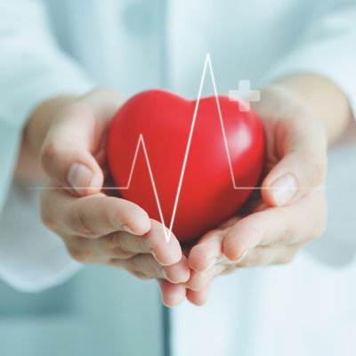 Cardiovascular Measures / Risk Factors