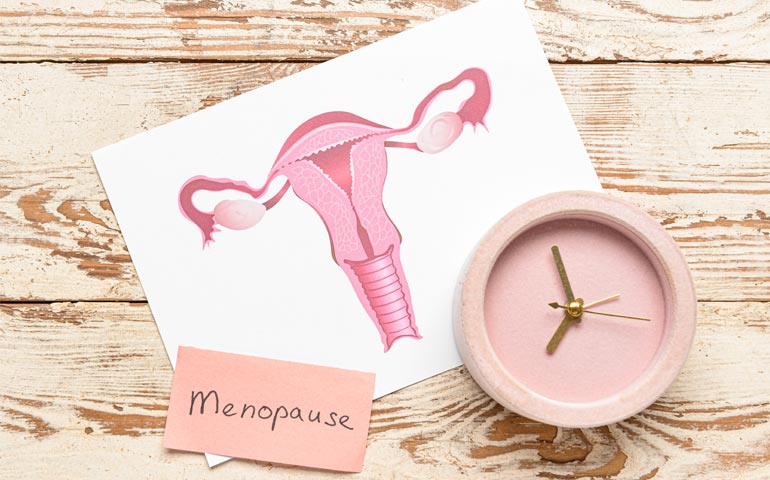 Relationships Between the Vaginal Microbiota and Genitourinary Syndrome of Menopause Symptoms in Postmenopausal Women